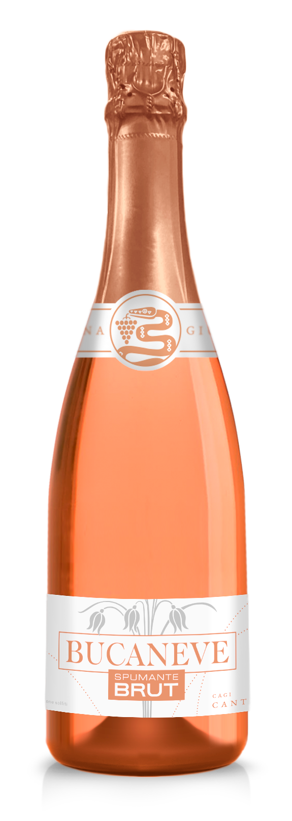 BUCANEVE“ROSÉ- SPUMANTE BRUT Cantina Giubiasco