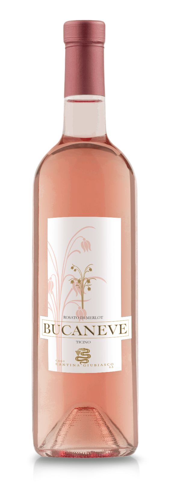 ROSATO DI MERLOT “BUCANEVE” 2022 Cantina Giubiasco