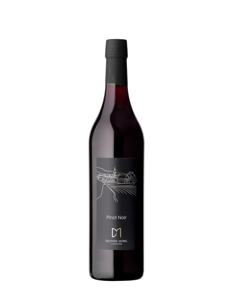 PINOT-NOIR - Ollon 2024 Delphine Morel