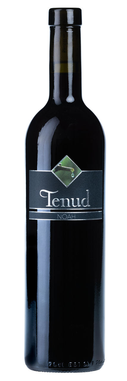 Noah Pinot Noir Barrique TENUD, Varen VS