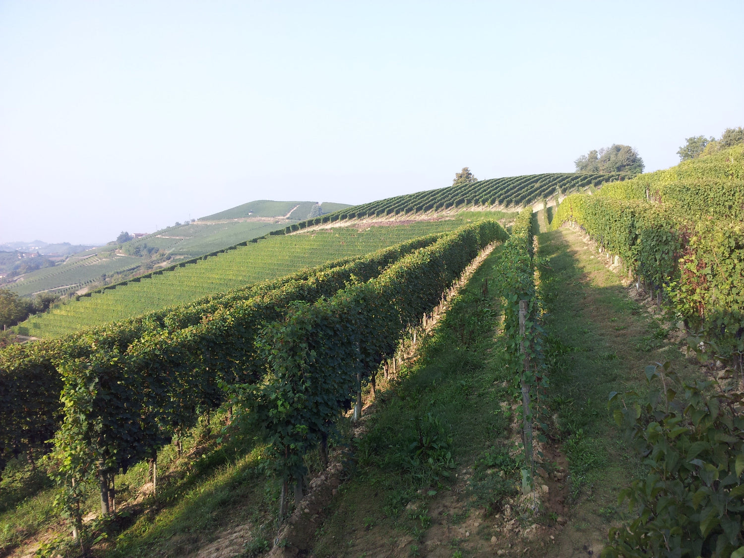 Piemont