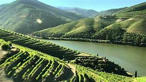 Rotwein Portugal