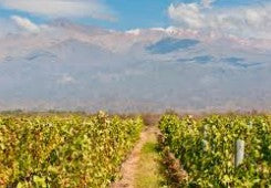 Rotwein Argentinien
