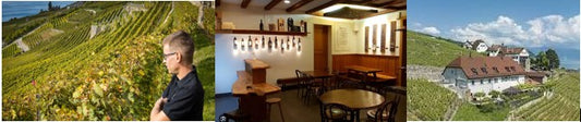 Degustationspaket AOC Lavaux