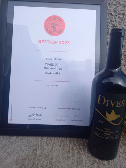 Dives Gran Selezione 2018 DOC Tessin Theiler Vini