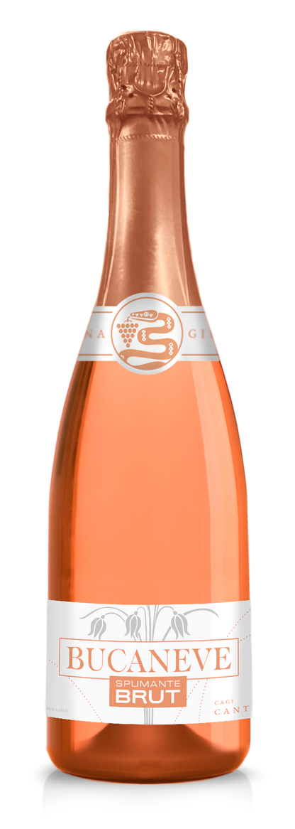 BUCANEVE“ROSÉ- SPUMANTE BRUT Cantina Giubiasco