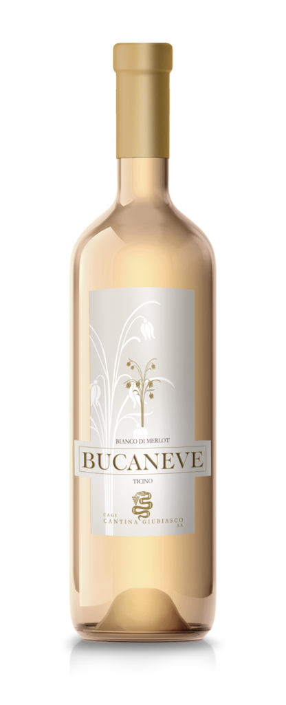 BIANCO DI MERLOT “BUCANEVE” TICINO DOC Cantina Giubiasco 2023