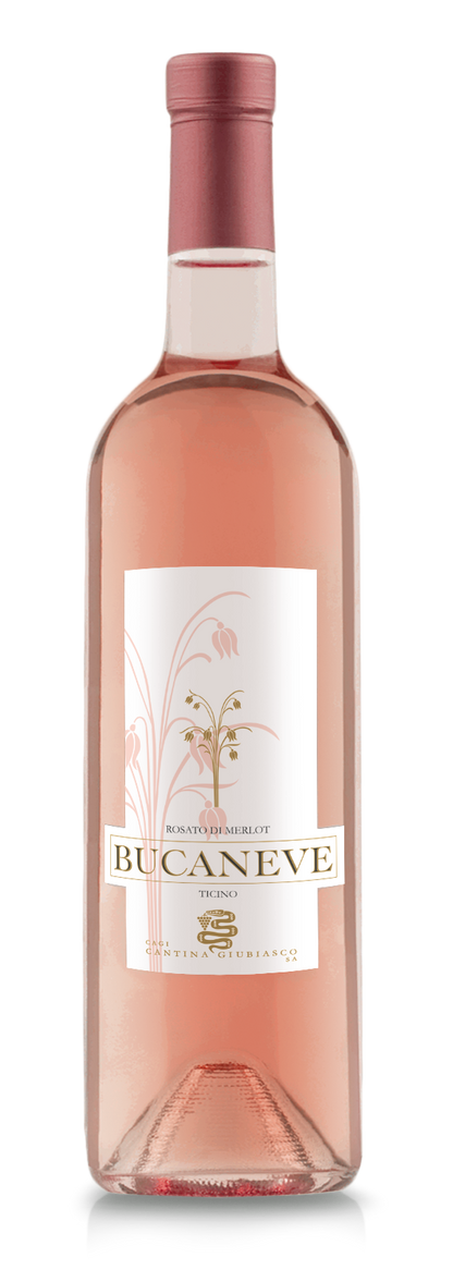 ROSATO DI MERLOT “BUCANEVE” 2022 Cantina Giubiasco