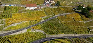 Degustation Fischer Vins: 6 Flaschen AOC La Côte