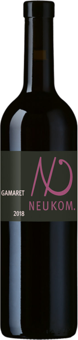 Gamaret 2018/19 Rafzerfeld NEUKOM