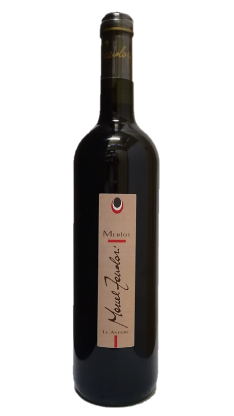 Merlot Le Anfore Bio Demeter 2020 MANUEL ZANOLARI