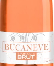 BUCANEVE“ROSÉ- SPUMANTE BRUT Cantina Giubiasco