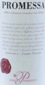 PROMESSA 2021 IGT Umbria Rosso BIO