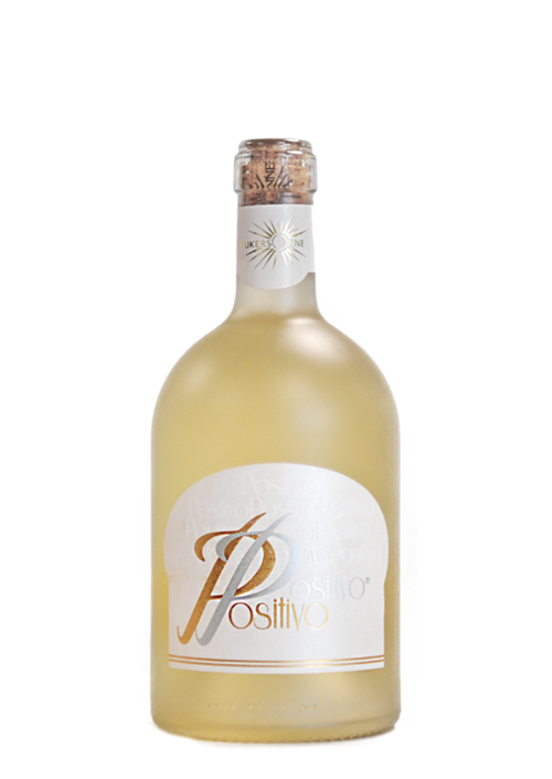 Positivo weiss 2023 Weingut Seewer (Leukersonne)