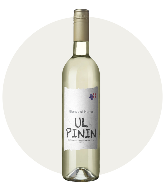 Ul Pinin, Bianco della svizzera italiana 2023, Cantina Mendrisio